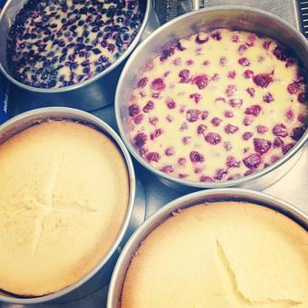 Product - Anjelica's Restaurant in Sea Bright, NJ Italian Restaurants