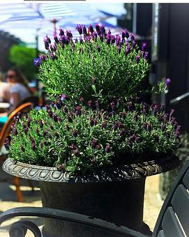 Product - Aquitaine Bistrot Boston in Boston, MA Pizza Restaurant