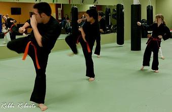 Product - Ascent Martial Arts and Performance Fitness in Arvada, CO Health Clubs & Gymnasiums