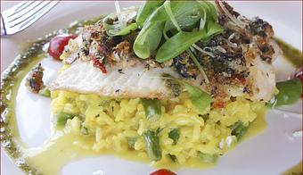 Product - Avellino's Italian Restaurant in Fairfield, CT Italian Restaurants