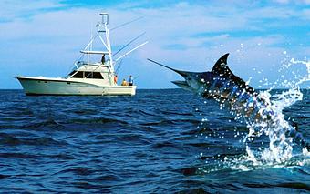 Product - Barker's Bar & Grill in Hudson, WI American Restaurants