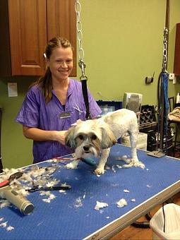 Product - Barking Dogs Self-Wash & Grooming in Mountain's Edge Community - Las Vegas, NV Pet Boarding & Grooming