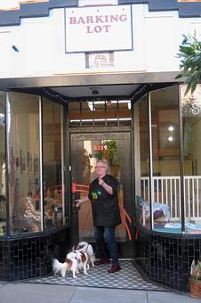 Product - Barking Lot in San Francisco, CA Pet Care Services