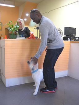 Product - Barking Lot in San Francisco, CA Pet Care Services