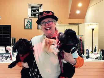 Product - Barking Lot in San Francisco, CA Pet Care Services