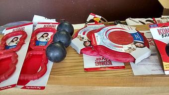 Product: toys toys and more toys - Barkzone in Portland, OR Pet Care Services