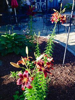 Product - Bellefonte Cafe in Wilmington, DE American Restaurants