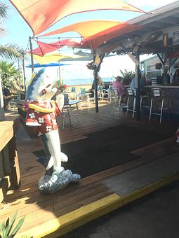 Product - Bonefish Willy's Riverfront Grille in Melbourne, FL Seafood Restaurants