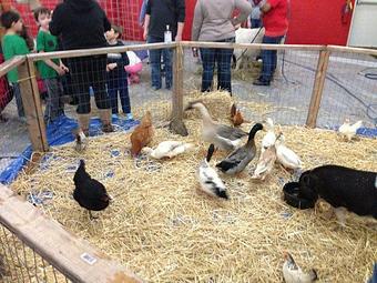 Product - Bouncetown in Oswego, IL Business Services