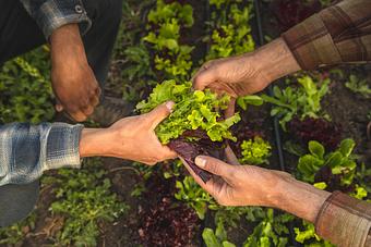 Product - Bridger Brewing in Bozeman, MT Pizza Restaurant
