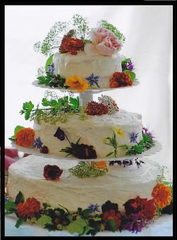 Product - Cafe Regis in Red Lodge, MT Diner Restaurants