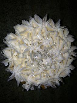 Product - Caffe Caffe in Metairie, LA Coffee, Espresso & Tea House Restaurants