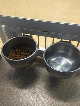 Product: Stainless steel bowls are built into the room door and remove easily for cleaning. They also swivel for quick refills! - Canine Country Club in Manheim, PA Country Clubs