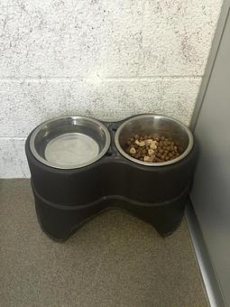 Product: Raised bowls available - Canine Country Club in Manheim, PA Country Clubs