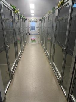 Product: Rooming Hallway - Canine Country Club in Manheim, PA Country Clubs