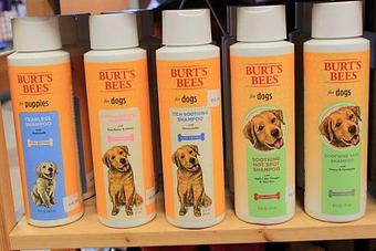 Product - Canine Crossing in Ham Lake, MN Pet Boarding & Grooming