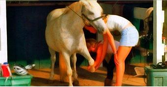 Product - Cedarhill Farm in Waxhaw, NC Farms