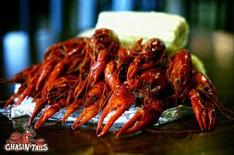Product - Chasin' Tails in Arlington, VA Cajun & Creole Restaurant