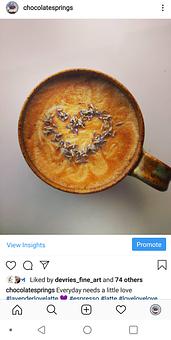 Product - Chocolate Springs Cafe in Lenox, MA Coffee, Espresso & Tea House Restaurants