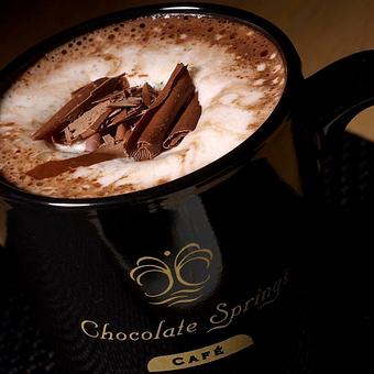 Product - Chocolate Springs Cafe in Lenox, MA Coffee, Espresso & Tea House Restaurants