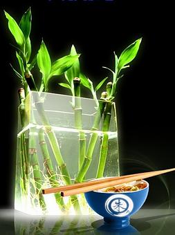 Product - Chus Taiwan Kitchen and Bar in Coral Gables, FL Thai Restaurants