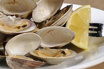 Product: Steamed Clams - Coastal Grille in Wyomissing, PA American Restaurants
