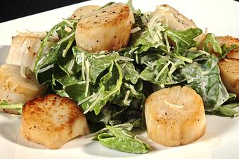 Product: Pan Seared Scallops - Coastal Grille in Wyomissing, PA American Restaurants