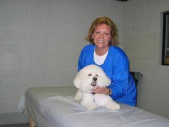 Product - Coastal Pet Resort in Foley, AL Pet Boarding & Grooming