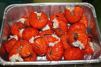 Product - Coasters Pub & Biergarten in Beachside Melbourne - Melbourne, FL American Restaurants