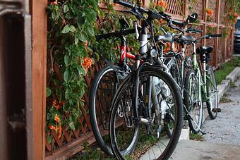 Product - Coasters Pub & Biergarten in Beachside Melbourne - Melbourne, FL American Restaurants