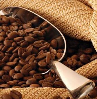 Product - Coliseum Kitchen in Plainview, NY Barbecue Restaurants