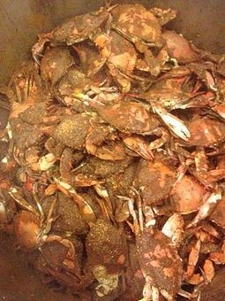 Product - Conrad's Crabs & Seafood Market - Parkville in Parkville, MD Seafood Restaurants