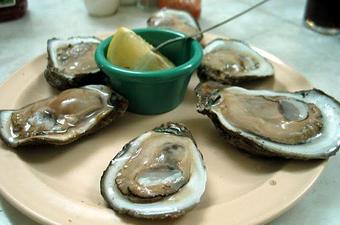 Product - Cool Moose Cafe in Ludlow, VT American Restaurants Product - Cool Moose Cafe in Ludlow, VT American Restaurants