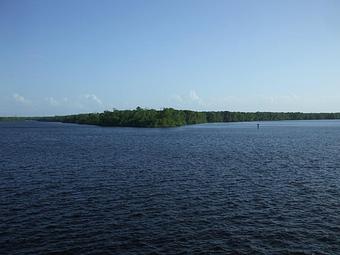 Product - Corky Bell's Seafood at Gator Landing in East Palatka, FL Seafood Restaurants