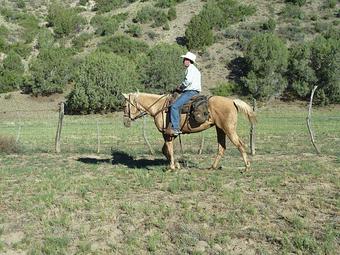 Product - Cowboy Way Adventures in Cottonwood, AZ Christian Churches