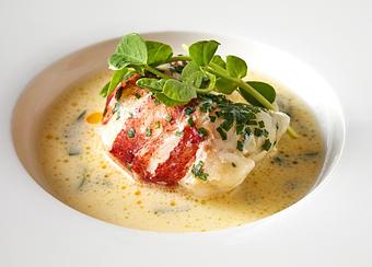 Product: Butter Poached Lobster Tail - Criollo Restaurant in French Quarter - New Orleans, LA Cajun & Creole Restaurant