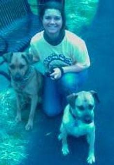 Product - Critter Sitter Connection in Greater Kansas City Area - Kansas City, MO Pet Care Services