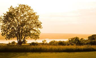 Product - Dano's Heuriger On Seneca in Lodi, NY European Cuisine