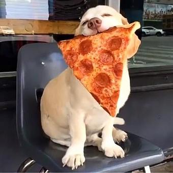 Product - DC’s Pizza & Catering in Albany - Albany, NY Pizza Restaurant