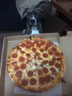 Product - DC’s Pizza & Catering in Albany - Albany, NY Pizza Restaurant