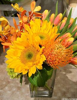 Product - Dr Delphinium Flower & Orchid House in Richardson, TX Florists