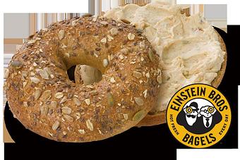 Product - Einstein Brothers Bagels in Chevy Chase, MD Bagels