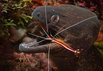 Product - Endless Oceans in Delray Beach, FL Business Services