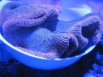 Product - Endless Oceans in Delray Beach, FL Business Services