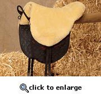 Product - Equine Exchange Tack Store in South Coventry - Pottstown, PA Sports & Recreational Services