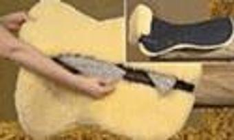 Product - Equine Exchange Tack Store in South Coventry - Pottstown, PA Sports & Recreational Services