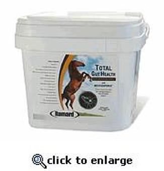 Product - Equine Exchange Tack Store in South Coventry - Pottstown, PA Sports & Recreational Services