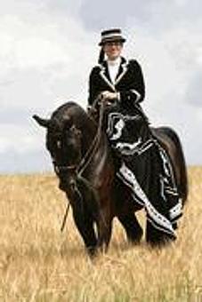 Product - Equine Exchange Tack Store in South Coventry - Pottstown, PA Sports & Recreational Services