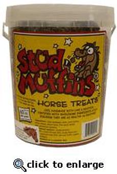 Product - Equine Exchange Tack Store in South Coventry - Pottstown, PA Sports & Recreational Services