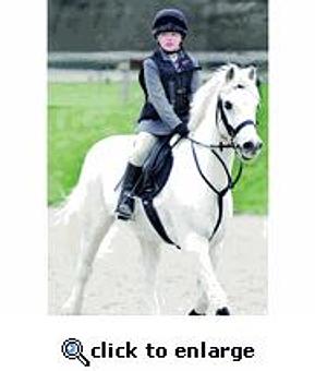 Product - Equine Exchange Tack Store in South Coventry - Pottstown, PA Sports & Recreational Services